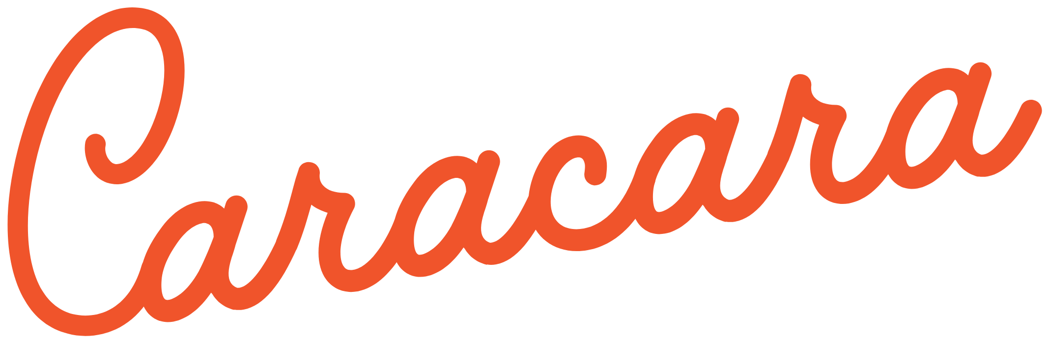 Caracara